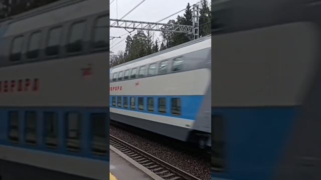 Поезд Аврора (обкатка) и ЭП2К 168, ЭП2К 500 и ЧС6 019 проезжают станцию Радищево 17.11.2024  #аврора