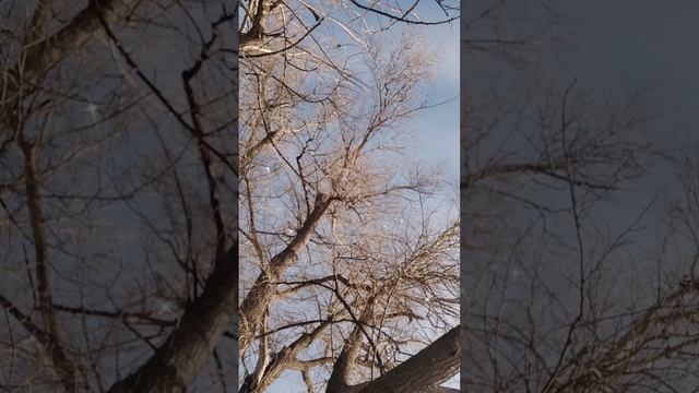 Жизнь в деревни смотреть онлайн