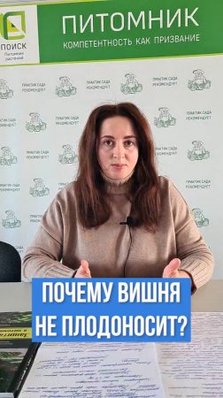 Почему вишня плохо плодоносит?