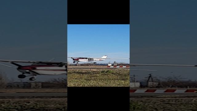 самолёт Cessna при посадке чуть не столкнулся с вороной