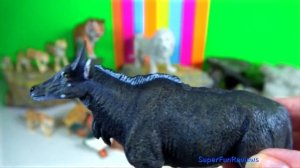 Animals - Lion Tiger Leopard Elephant Red Panda Pangolin Nilgai Markhor Peacock Porcupine 13+