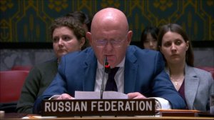 Statement by PR Vassily Nebenzia at a UNSC Briefing on Nonproliferation and the DPRC