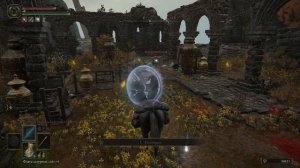 ДРАКОН СБЕЖАЛ ОТ МЕНЯ! ELDEN RING #51