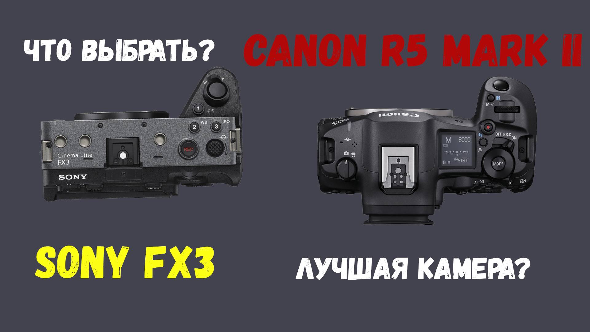 сравнение canon 5 mark ii vs sony fx3