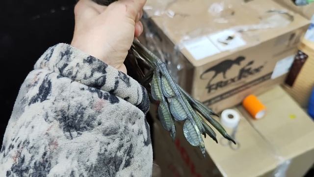 Весна среди зимы