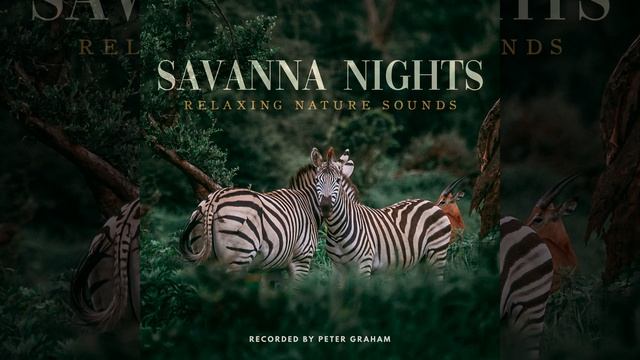 Jungle Sleep смотреть онлайн