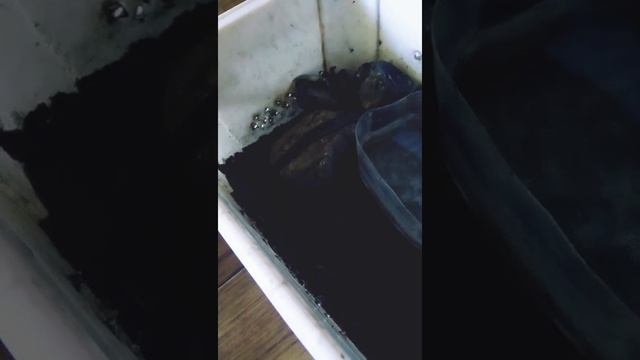 ужик уже кусается и теперь он есть😋 смотреть онлайн