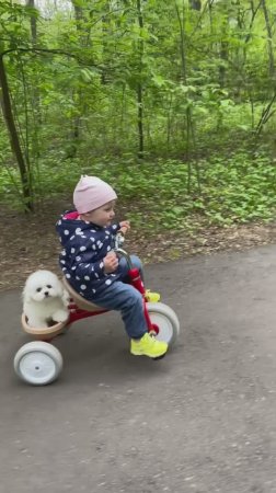 Велопрогулка🚲🚴♀️🐶