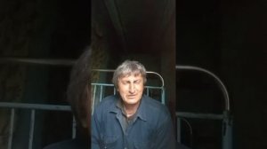 песня Владимира Высоцкого. городской романс в исполнении Емельяна.