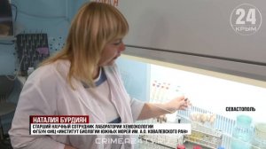 Севастопольские учёные исследуют воду после крушения нефтетанкеров в Черном море