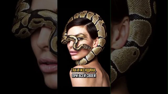 И – ИМПЕРИЯ