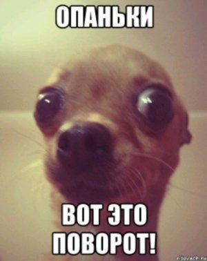 ла лол аэээээээ