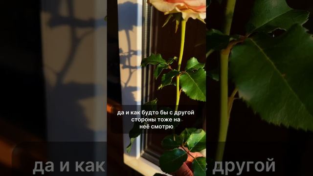 Как снять себя красиво с эффектом многокамерности? #видеосъемкамосква #рилс #видеоролик