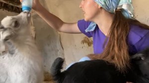 Пару часов из нашего дня