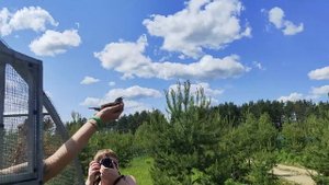 Выпускаем скворцов! Но кормить все равно приходится...