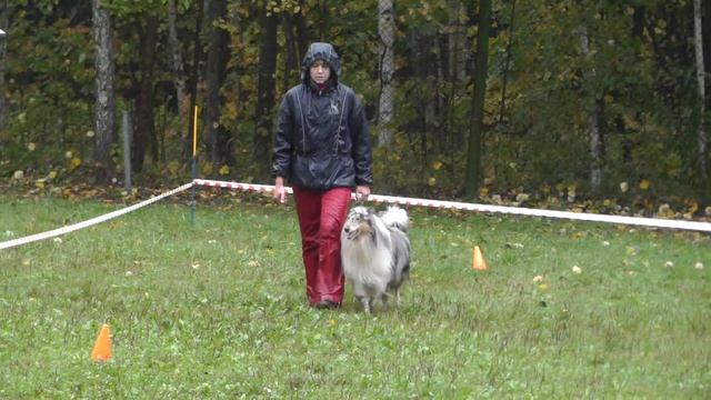 "Кубок Москвы 2013". смотреть онлайн