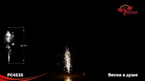 Весна в душе PC4535