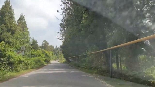 #9 Дом в Грузии. Дорога Батуми - Шрома