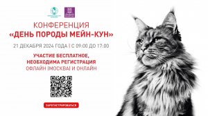 Общероссийская Конференция «День породы Мейн-кун»