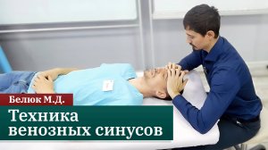 Техника венозных синусов. Белюк М.Д.