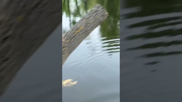 В Саратове с женатым