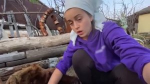 ФРАГМЕНТ ПЕРЕДАЧИ ВИДЕЛИ ВИДЕО С ФРАНТИКОМ
