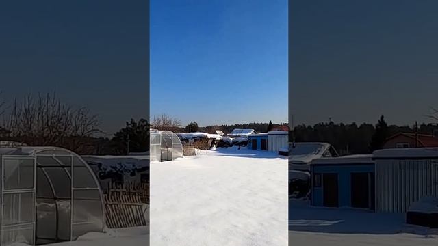 На тепличках снега нету, 11 февраля