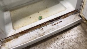 Бирюса не морозит, перевод с 12 на 600, замена компрессора