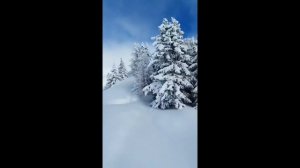 "У каждой жизни свой земной расклад" 18.12.2024 Лилия Филь ( Берёзкина)