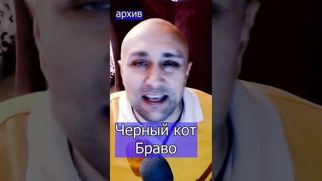 Черный кот - Браво Клондайс кавер из архива