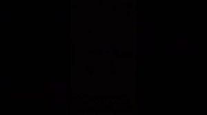 Неугомонные блогеры искали приключения и нашли.... Вы же сами так хотели!