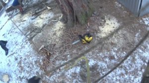 спуск с дерева самосбросом