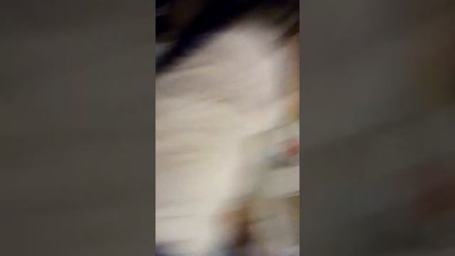 Tracer vs. Scout. And favrot wepon смотреть онлайн