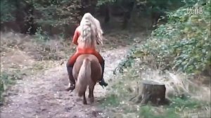 pony ride 4