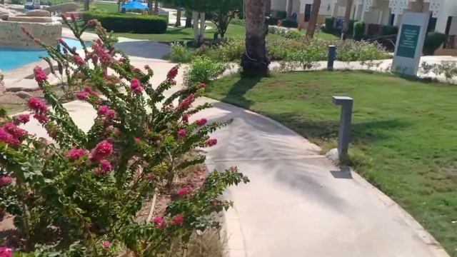 ريفيو عن فندق شورز امفوارس ( اوتيوم امفوارس ) 5* شرم الشيخ || Otium Hotel Amphoras sharm El Sheikh