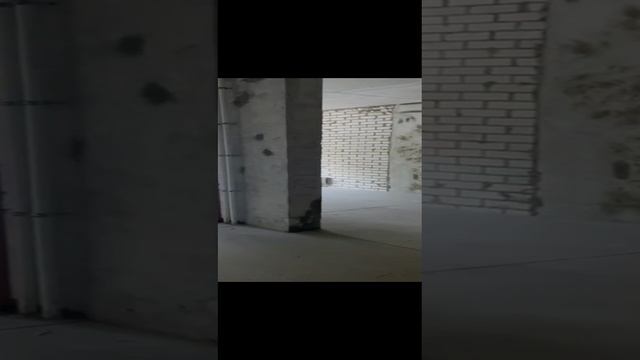 1000090914.mp4