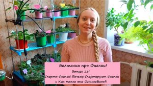 Болталка про Фиалки! Выпуск 23: Спорты Фиалок! Почему Спортируют Фиалки и Как можно это Остановить?!
