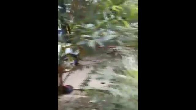 КОМЕДИЯ РОК  Жизнь состоит из "Мелочей"!!!