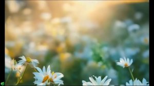 Целебная музыка для сердца и сосудов 🌿 успокаивает нервную систему и радует душу №3