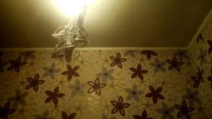 Я спиваю песню бата бум