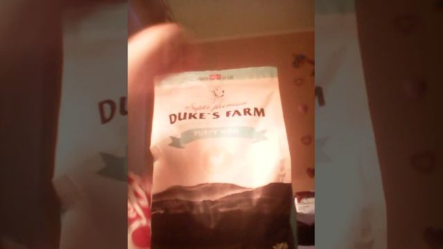 все для собаки смотреть онлайн