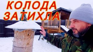 Как идёт зимовка/костюмы для пчеловодов