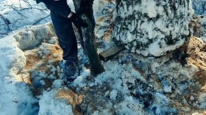 Валка Дуба клином из Дуба Бензопила: Почему она эффективна?