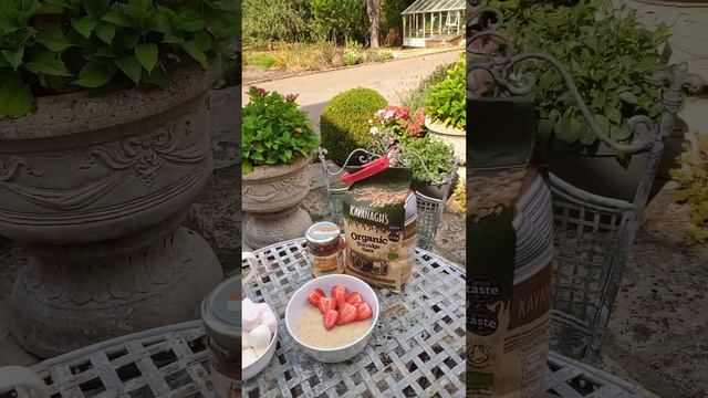 Овсянка, сээээр! Вкусное шоколадное печенье