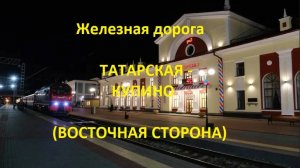 Железная дорога Татарская - Чистоозерная - Купино (вид из окна поезда, вост. сторона) (ЗСЖД)