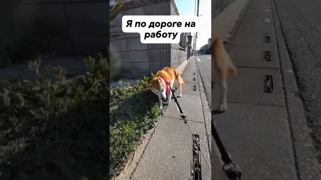 Я по дороге на работу