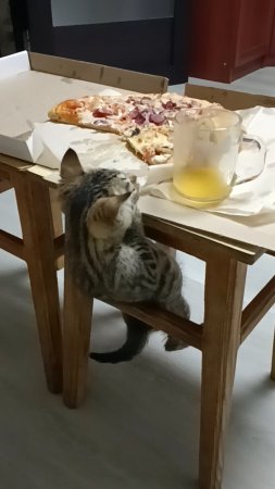 Маленький бандит😃