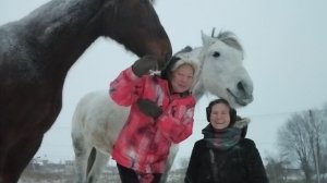 Марина Чен в КТК Конерадость 14.12.24