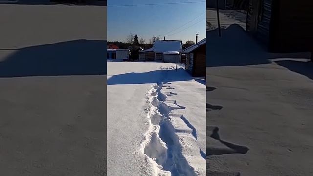 Привез на дачу лыжи, 11 февраля