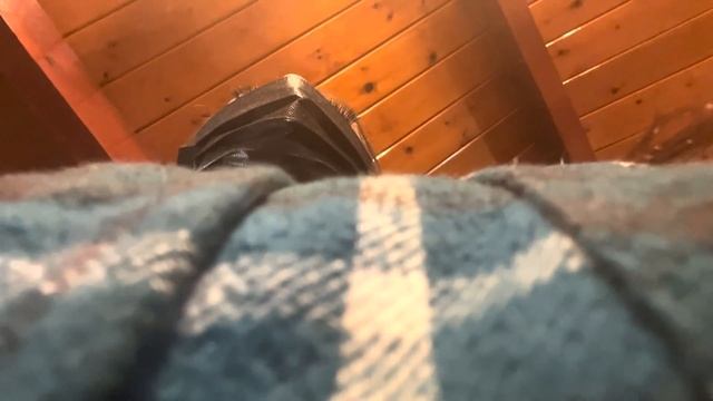 i'm moving to the mountains смотреть онлайн